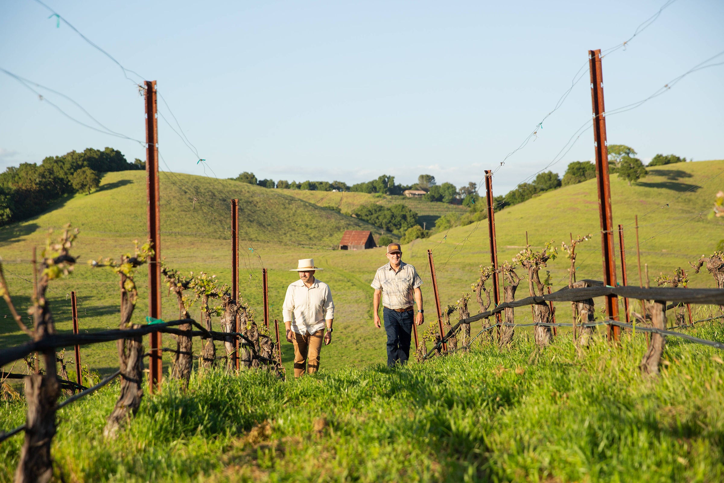 Hotel Limpia, image size:2400x1600